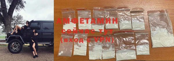 ГАЛЛЮЦИНОГЕННЫЕ ГРИБЫ Алзамай