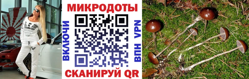 цены   Павлово  Галлюциногенные грибы Psilocybine cubensis 